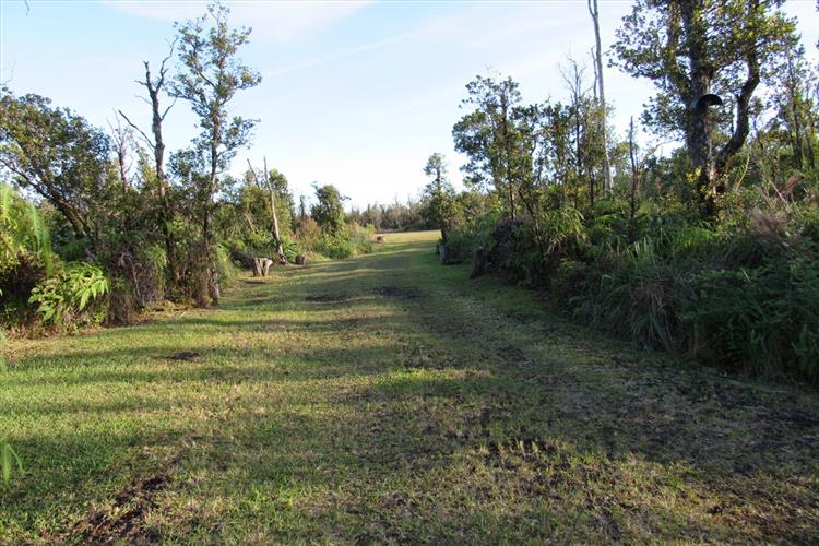 Photo of vacant land on 11-2253 Leila Road on behalf of Kimberly Parks of Parks Realty LLC